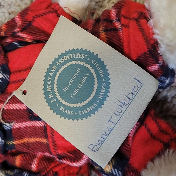 Boyds Beara- Bianca T Witebred - Picture 3 of 3